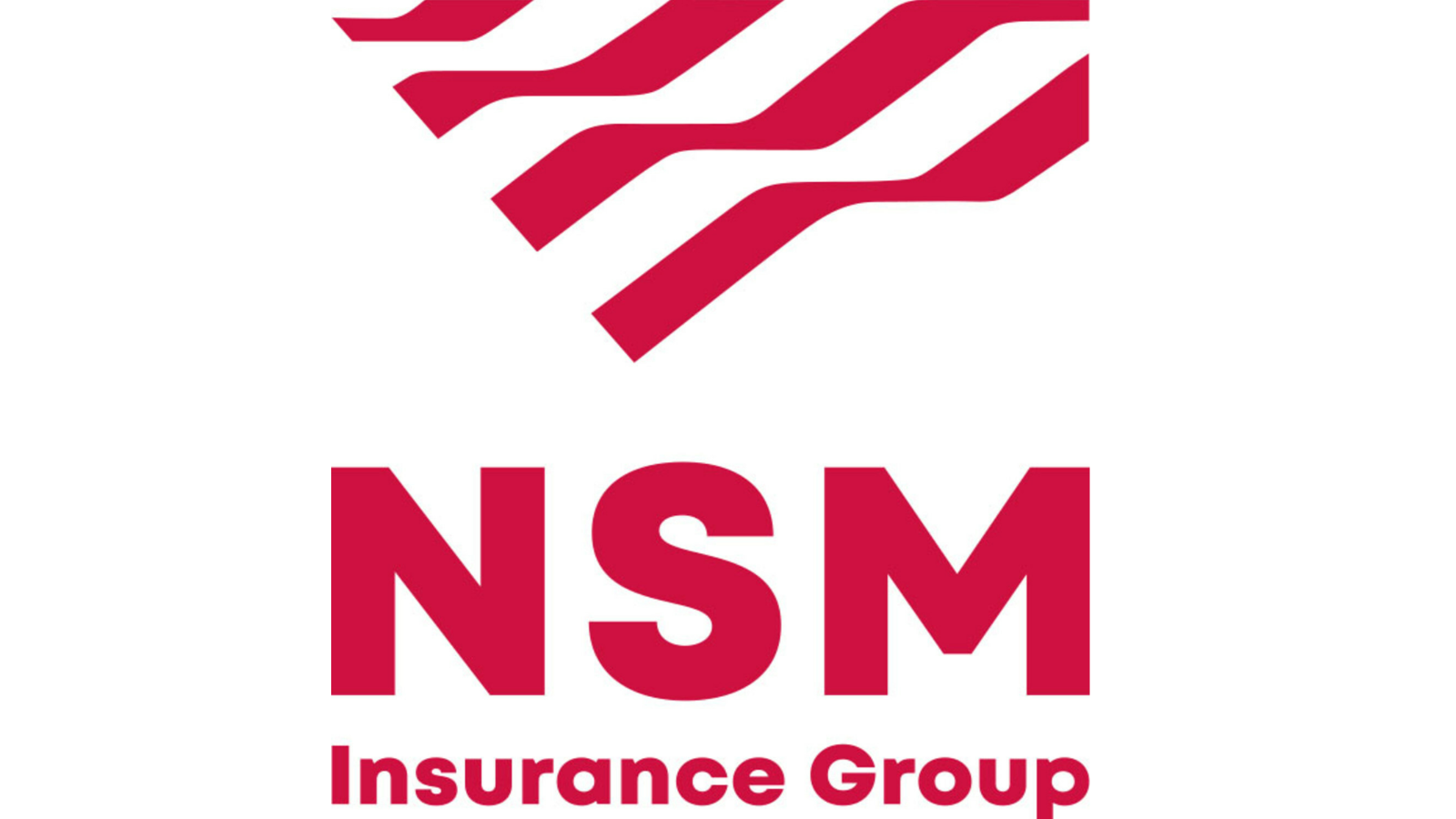 nsm logo