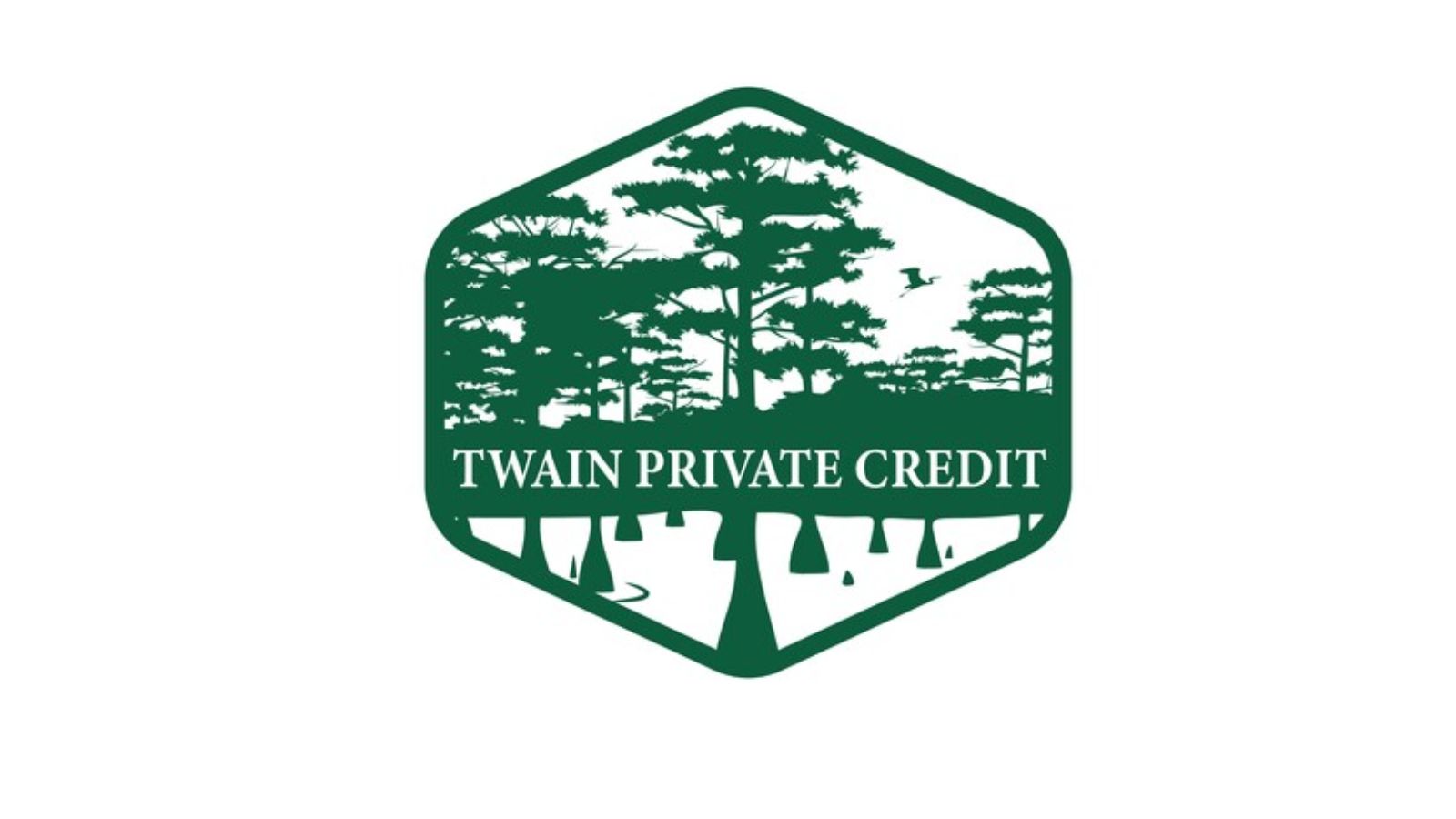 Twain Private Credit logo