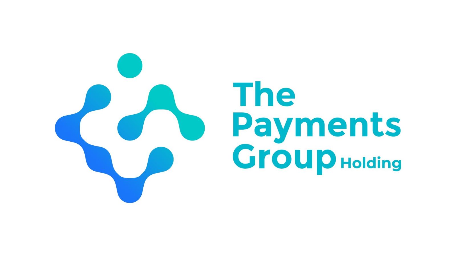 payment group logo