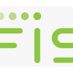 fis logo