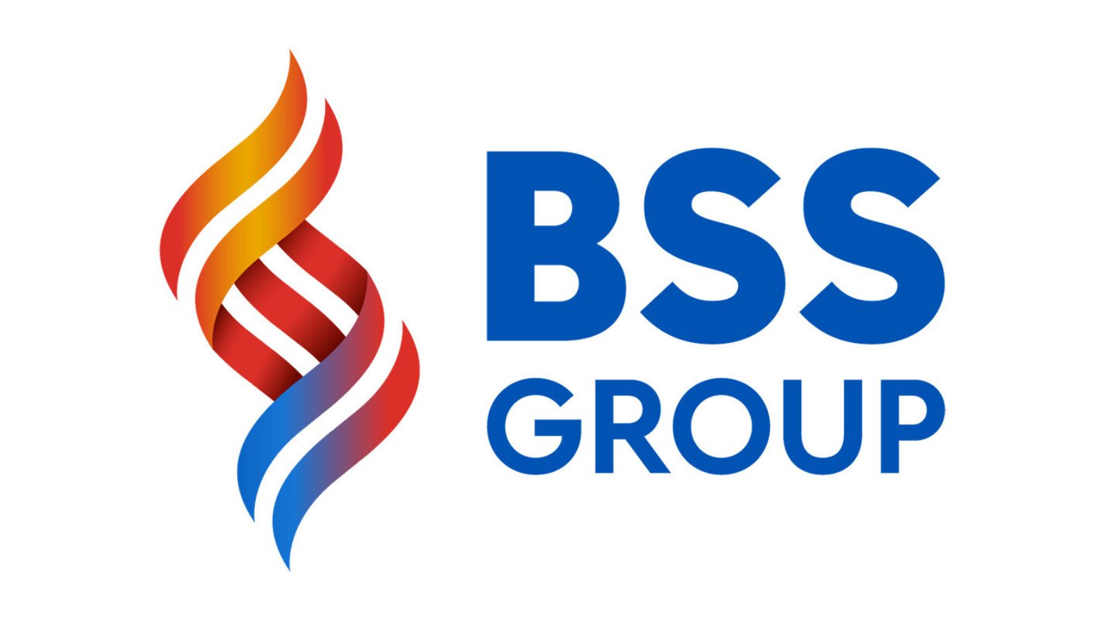 bss group logo