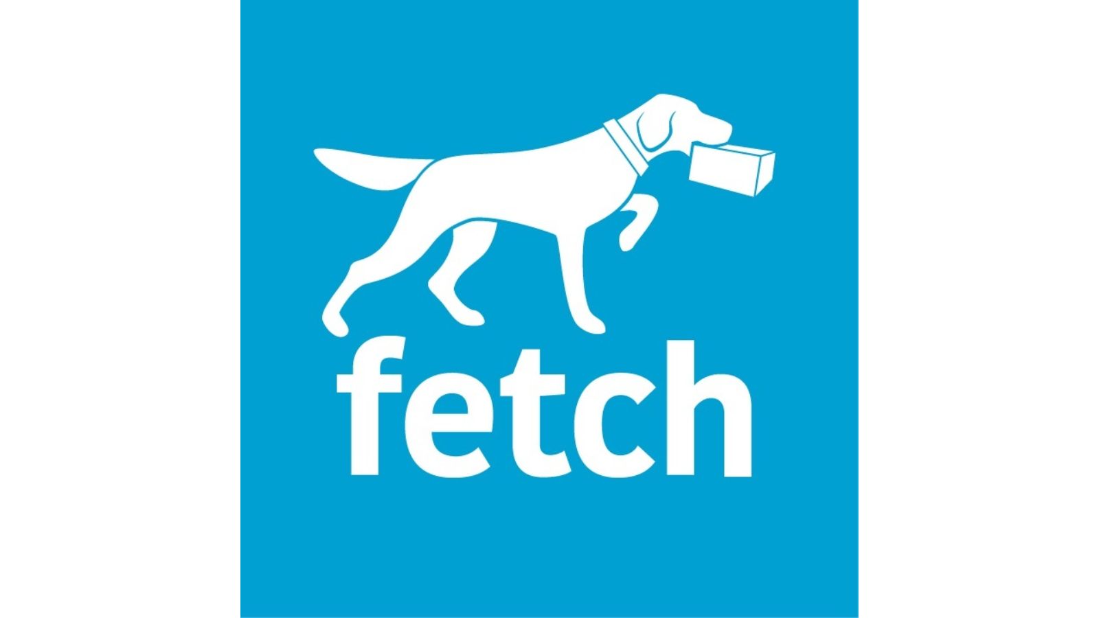 fetch logo