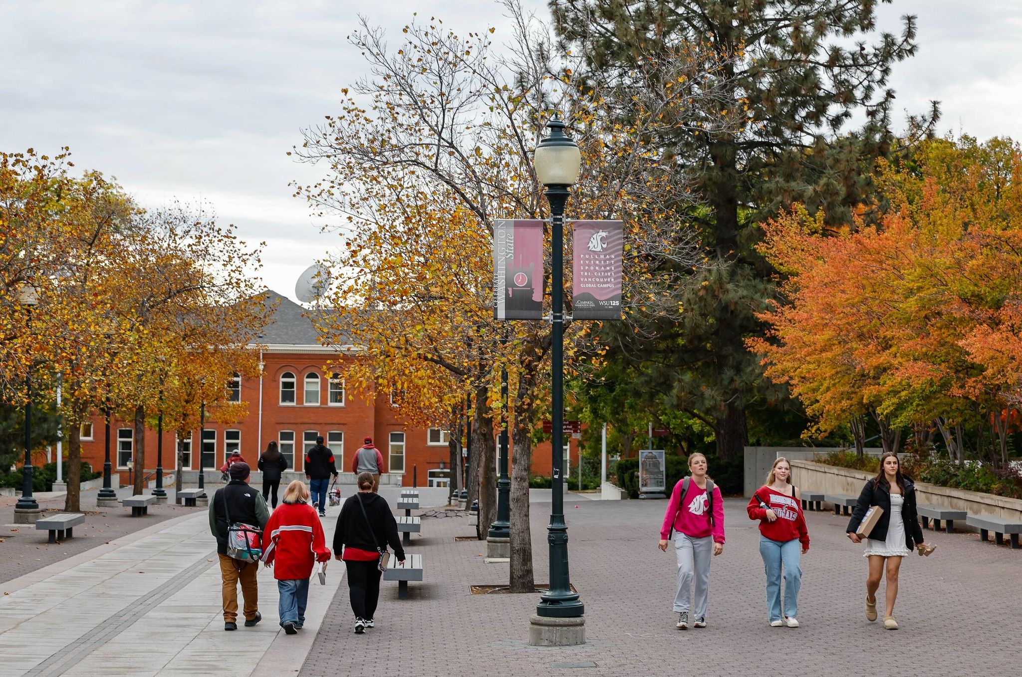 Washington State University in Pullman. Some college students could face changes to their financial aid under new state cutbacks. (Dean Rutz / The Seattle Times, 2024)
