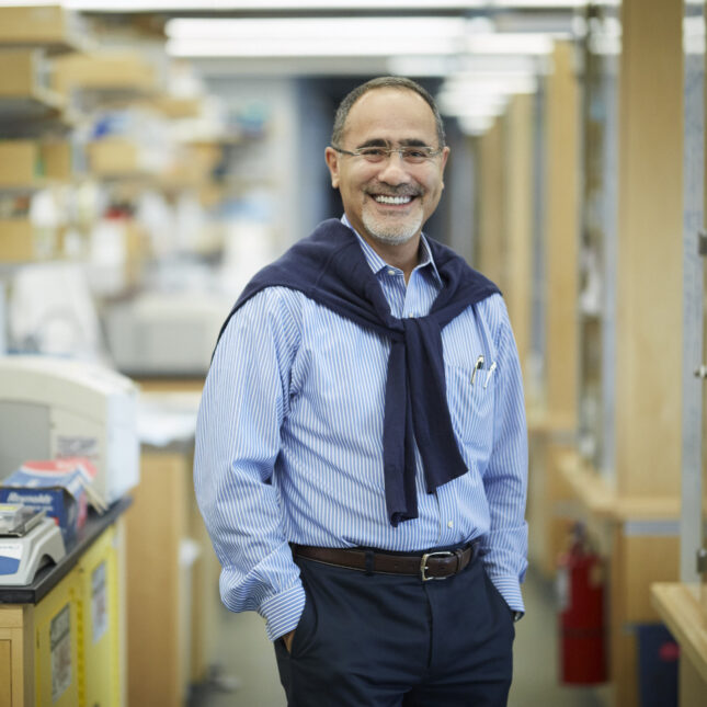Research by Gökhan Hotamışlıgil, a professor of genetics and metabolism at Harvard University’s T.H. Chan School of Public Health, will be funded by İş Private Equity, a Turkish firm, under a new arrangement.