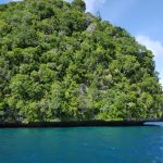 ocean conservation funding - Why Ocean Conservation Funding Is Crucial for High Seas Treaty