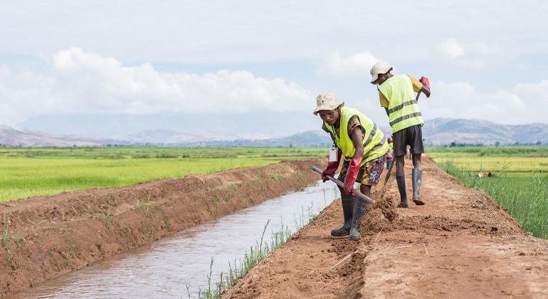 development finance gap - Closing the Development Finance Gap for SDG Success in 2026