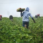 InsurTech in food systems financing - How InsurTech Can Transform Food Systems Financing