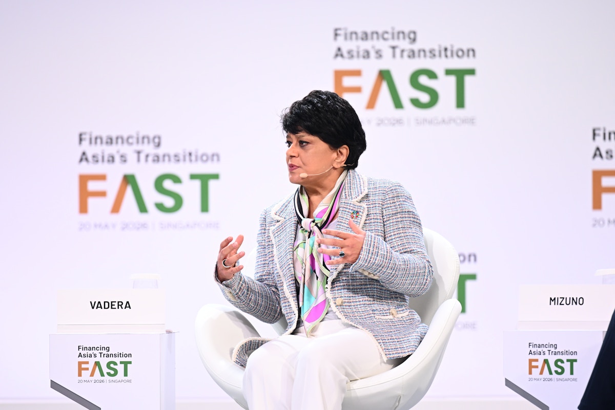 transition finance - Transition Finance in Emerging Markets Requires Policy Reform